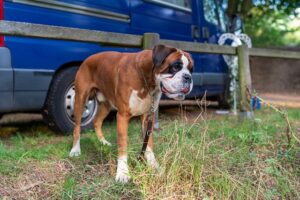 G06ac753810dbdd236cc6a96b00b845f3dd0b91b679cc17a653f258120492615306ad91c7490d0dd61d54d47fbbd2bd3ec5d95b825170ca51865accd825a4745b 640